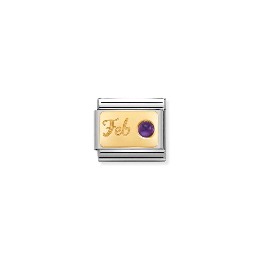 Nomination Composable Classic 18ct Gold and Stainless Steel February Amethyst