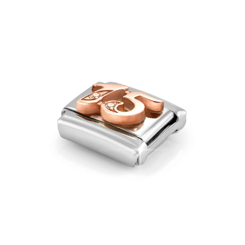 Nomination Number 15 with CZ 9ct Gold and Stainless Steel Composable Charm