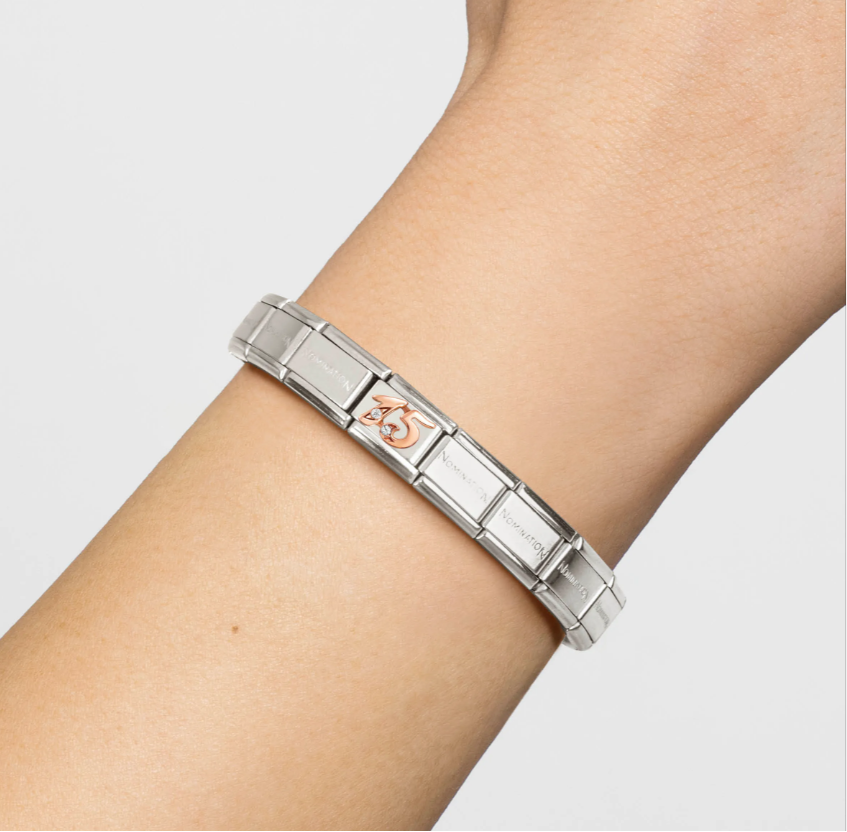 Nomination Number 15 with CZ 9ct Gold and Stainless Steel Composable Charm
