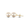 9ct Cultured 6.5mm Pearl Stud Earrings