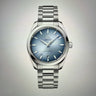 Seamaster Aquaterra 38mm - Unworn With Box And Papers