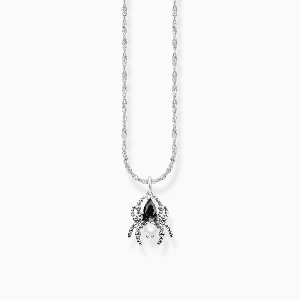 Silver Necklace Romance with Spider Pendant