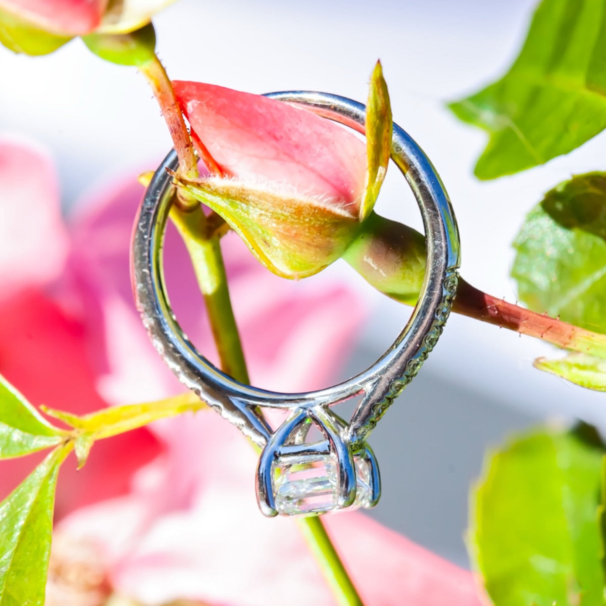 1.01ct E/VS2 Asscher Cut Diamond Ring with GIA Certification