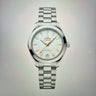 Aqua Terra 30mm Silver - Unworn With Box And Papers