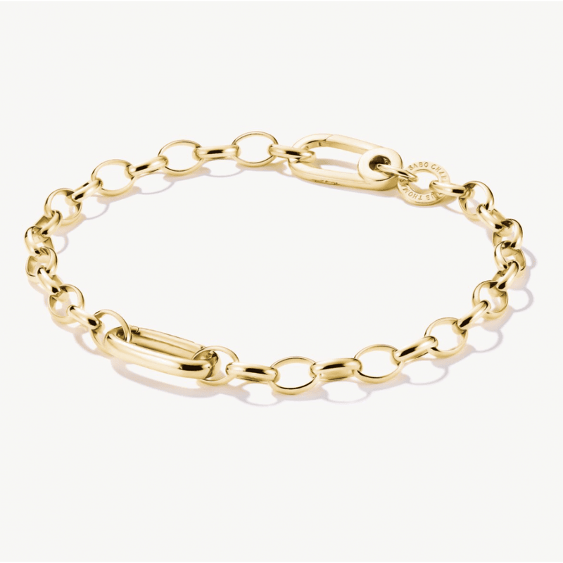 Charm Bracelet with Connect Link Gold-Plated