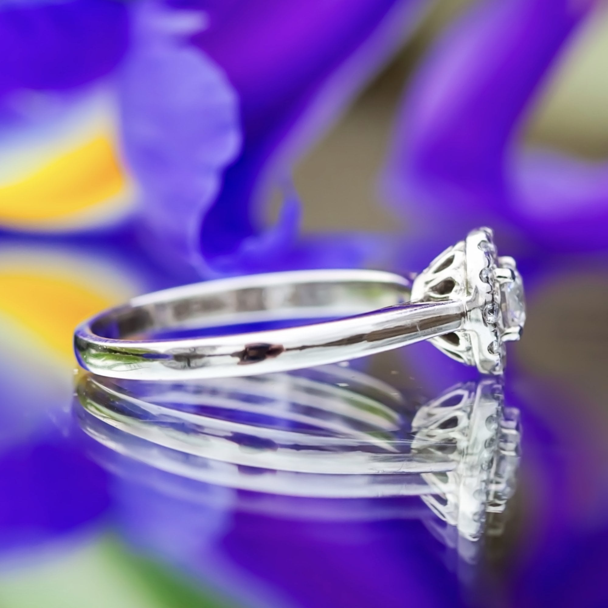 18ct White Gold 0.50ct Forever Diamond Halo Ring Size O 1/2 4.1g