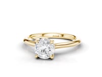 Lily Round Cut Diamond Ring With Hidden Halo