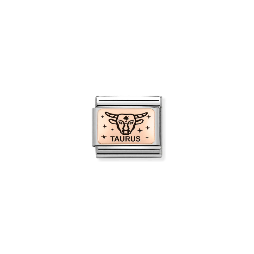 Nomination Zodiac Taurus 9ct Gold and Stainless Steel Composable Charm