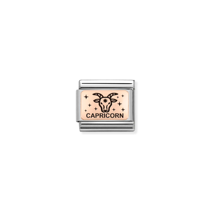 Nomination Zodiac Capricorn 9ct Gold and Stainless Steel Composable Charm