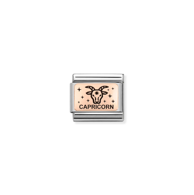 Nomination Zodiac Capricorn 9ct Gold and Stainless Steel Composable Charm