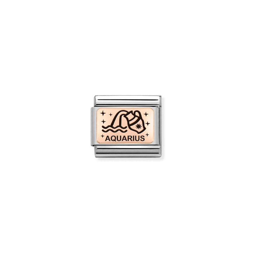 Nomination Zodiac Aquarius 9ct Gold and Stainless Steel Composable Charm