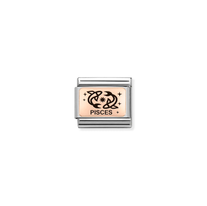 Nomination Zodiac Pisces 9ct Gold and Stainless Steel Composable Charm