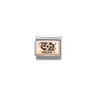 Nomination Zodiac Pisces 9ct Gold and Stainless Steel Composable Charm