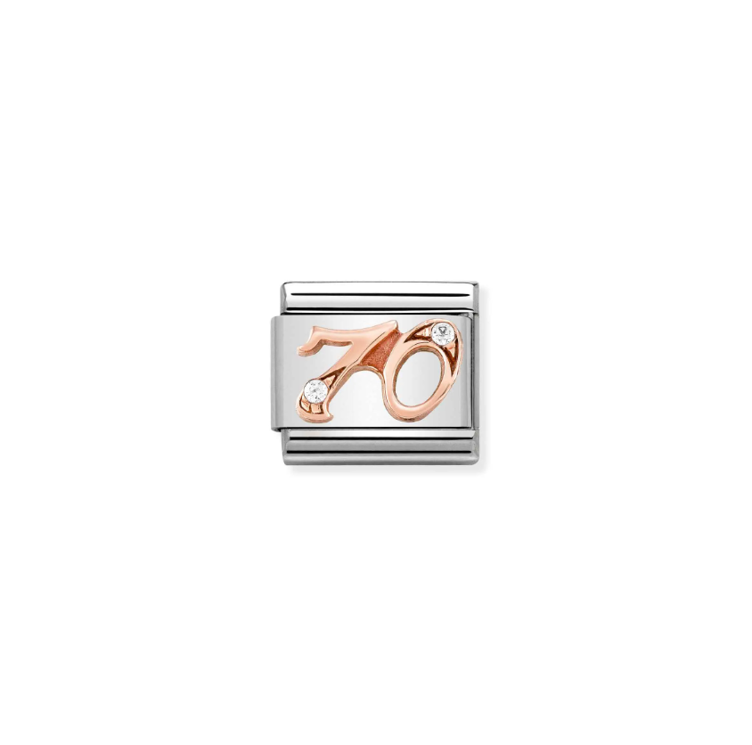 Nomination Number 70 with CZ 9ct Gold and Stainless Steel Composable Charm