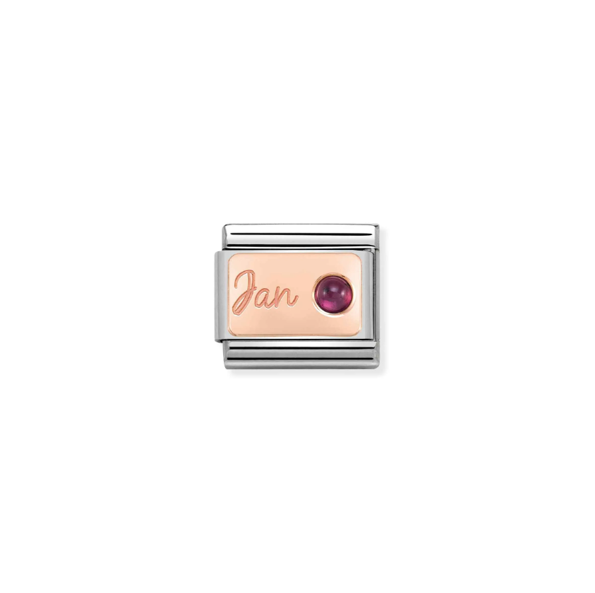 Nomination January Garnet 9ct Gold and Stainless Steel Composable Charm