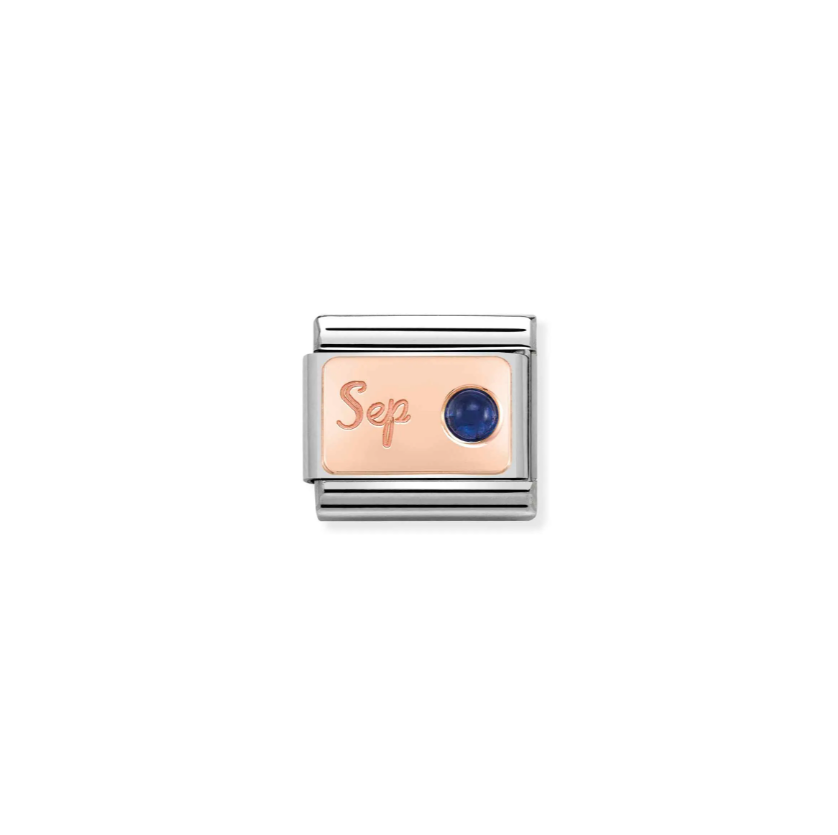 Nomination September Sapphire 9ct Gold and Stainless Steel Composable Charm