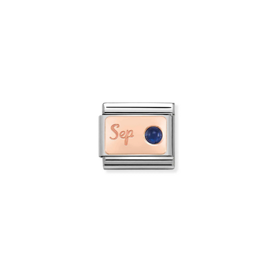 Nomination September Sapphire 9ct Gold and Stainless Steel Composable Charm