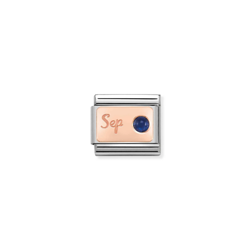 Nomination September Sapphire 9ct Gold and Stainless Steel Composable Charm