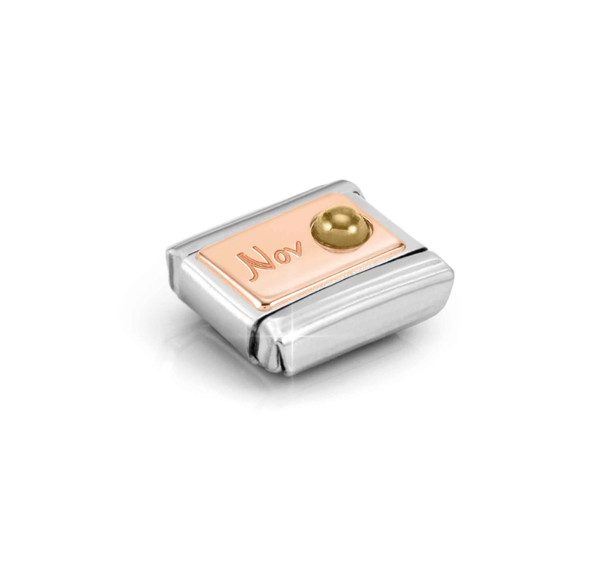 Nomination November Citrine 9ct Gold and Stainless Steel Composable Charm