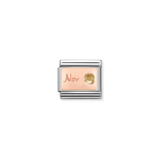 Nomination November Citrine 9ct Gold and Stainless Steel Composable Charm