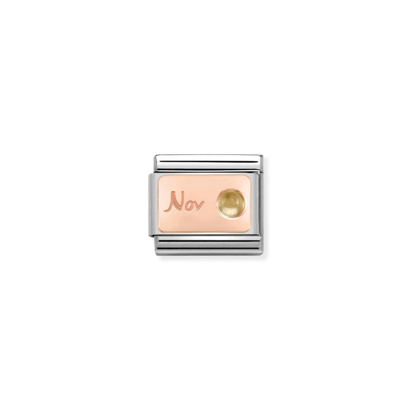 Nomination November Citrine 9ct Gold and Stainless Steel Composable Charm
