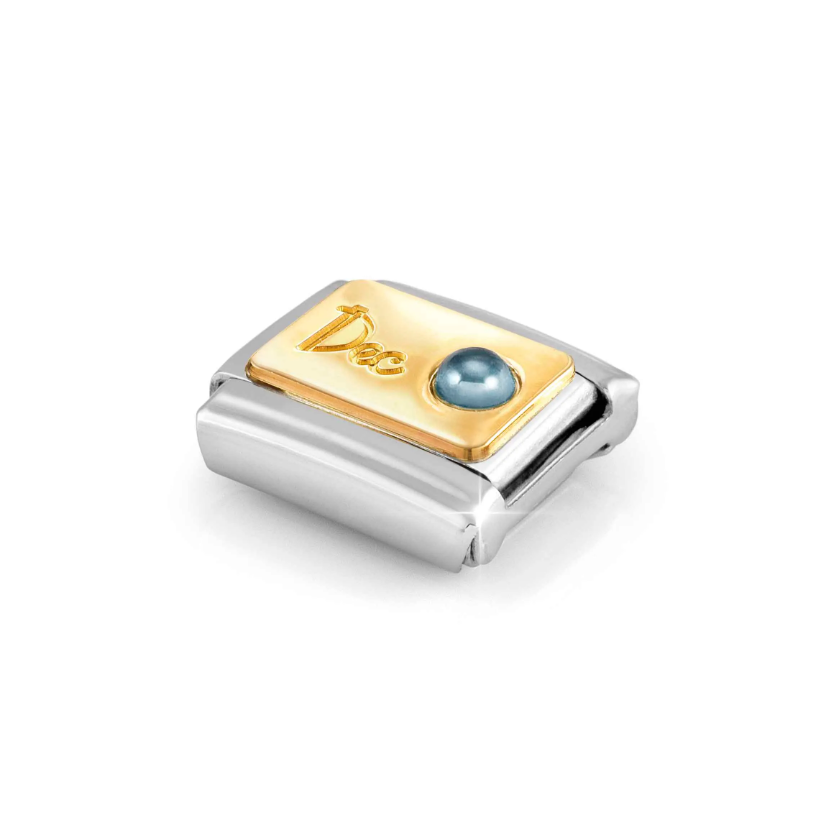 Nomination December Topaz 18ct Gold and Stainless Steel Composable Charm