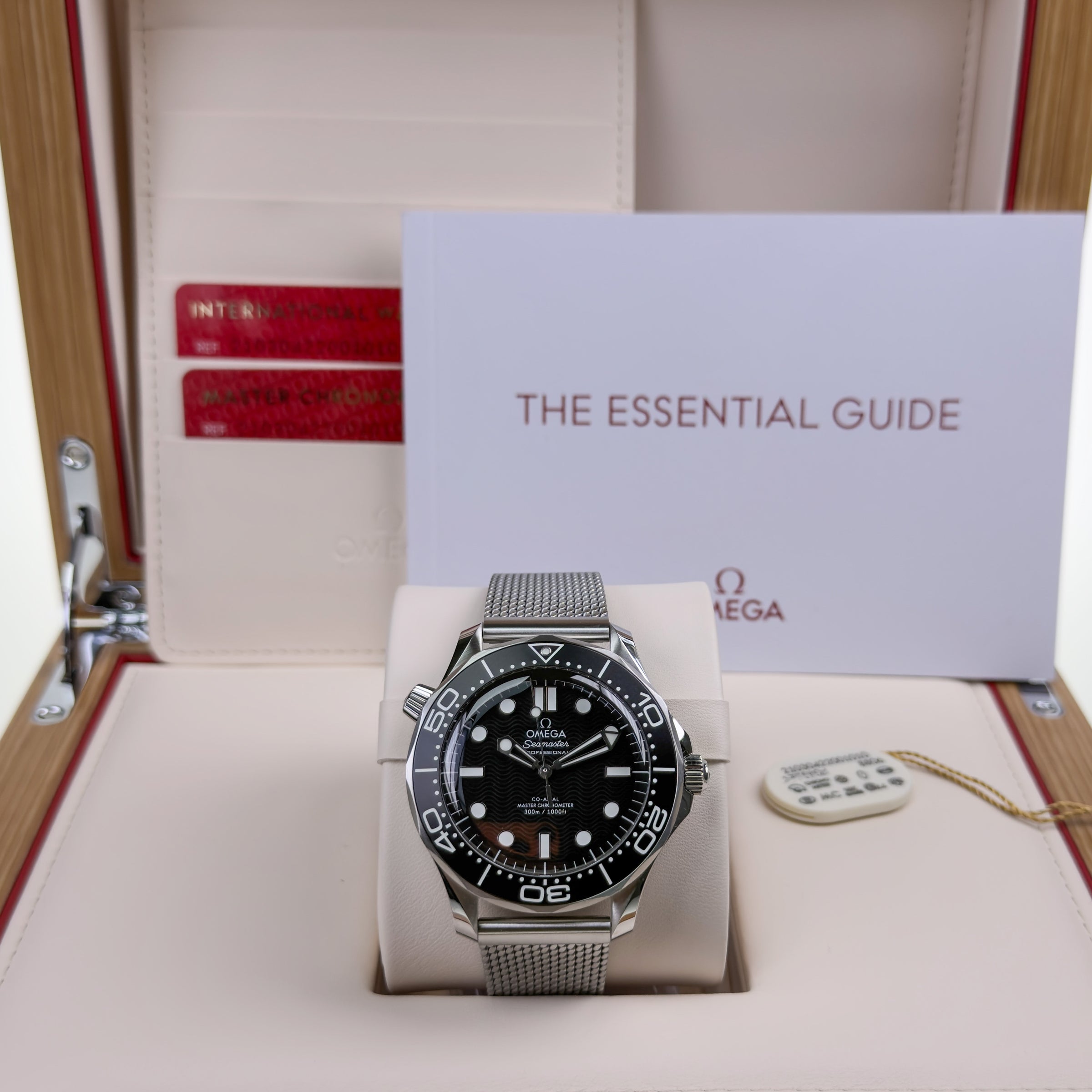Omega Seamaster Diver 300M Mesh - Unworn with Box and Papers 2026