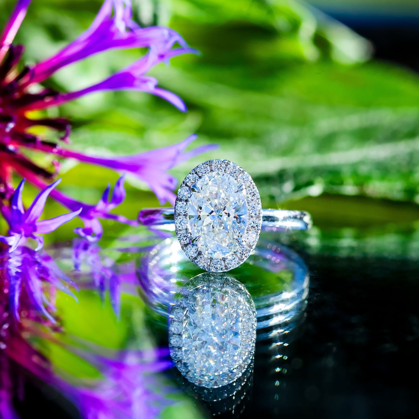 Engagement