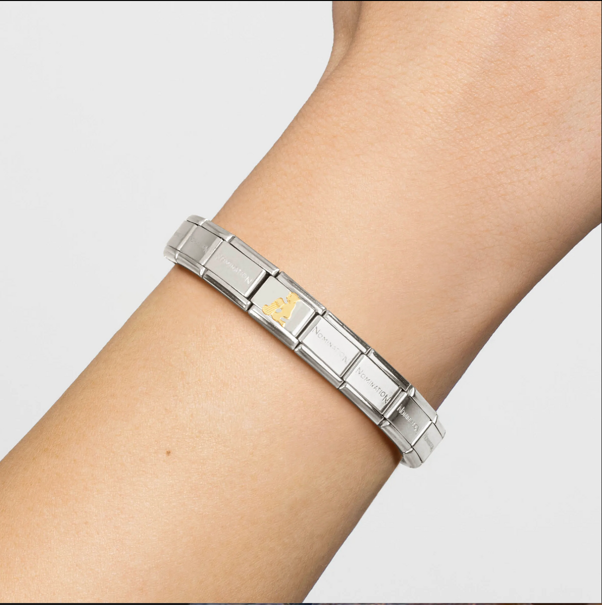 Nomination Aquarius 18ct Gold and Stainless Steel Composable Charm