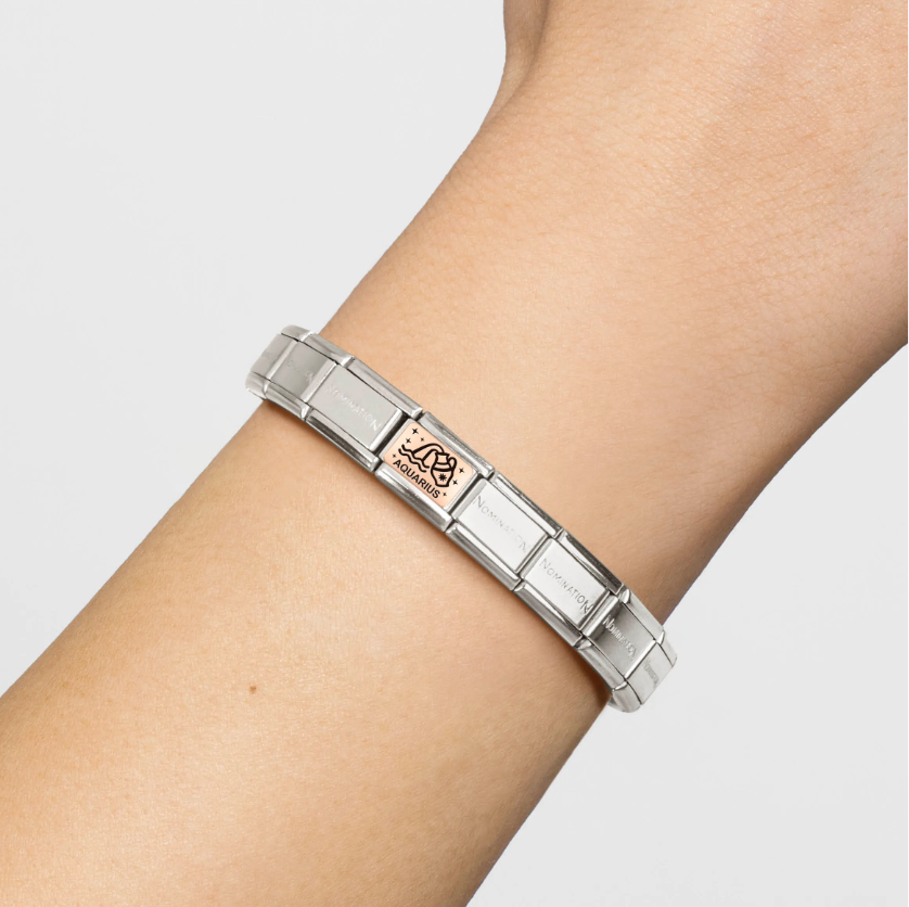 Nomination Zodiac Aquarius 9ct Gold and Stainless Steel Composable Charm