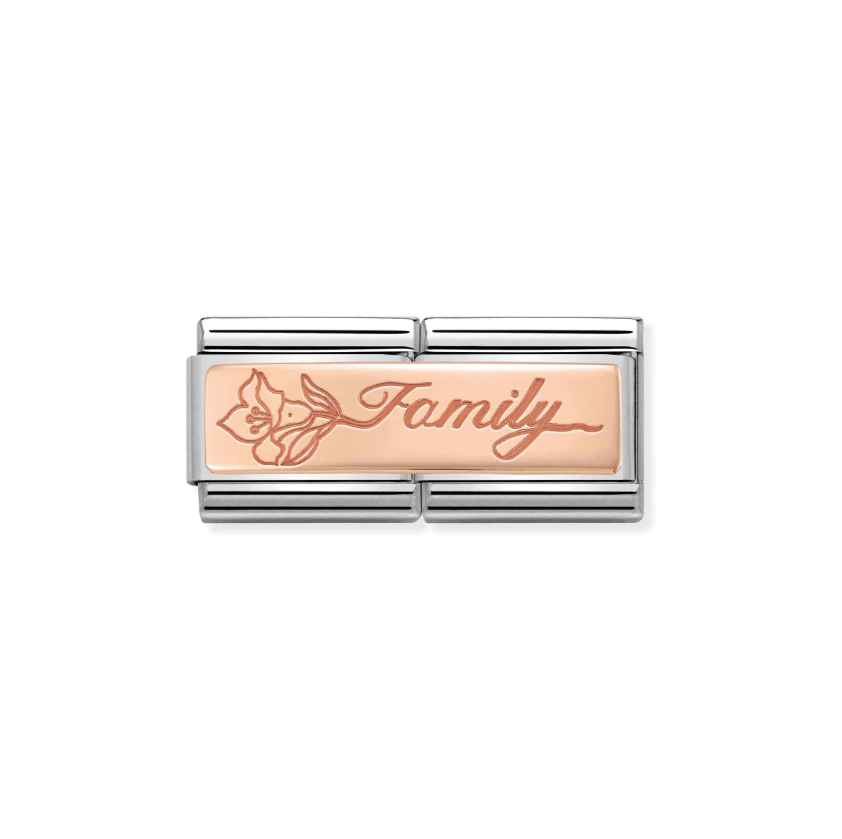 Nomination Family with Flower Double 9ct Gold and Stainless Steel Composable Charm