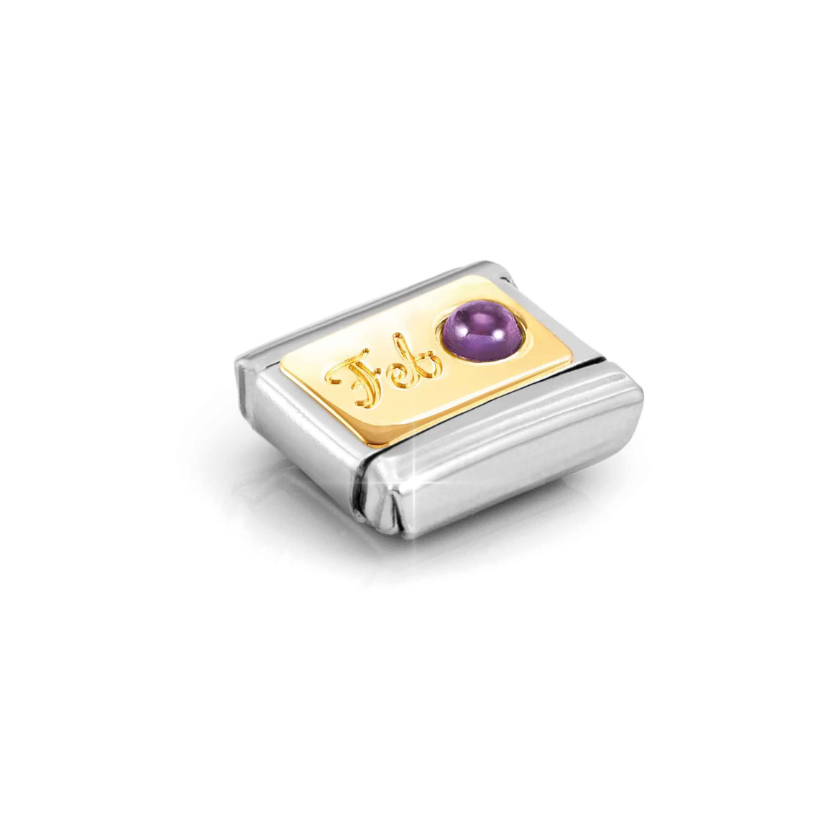 Nomination February Amethyst 18ct Gold and Stainless Steel Composable Charm