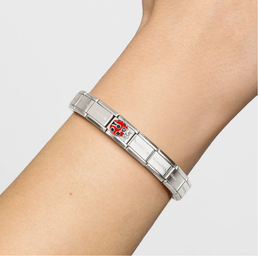 Nomination Ladybird with CZ Sterling Silver and Stainless Steel Composable Charm