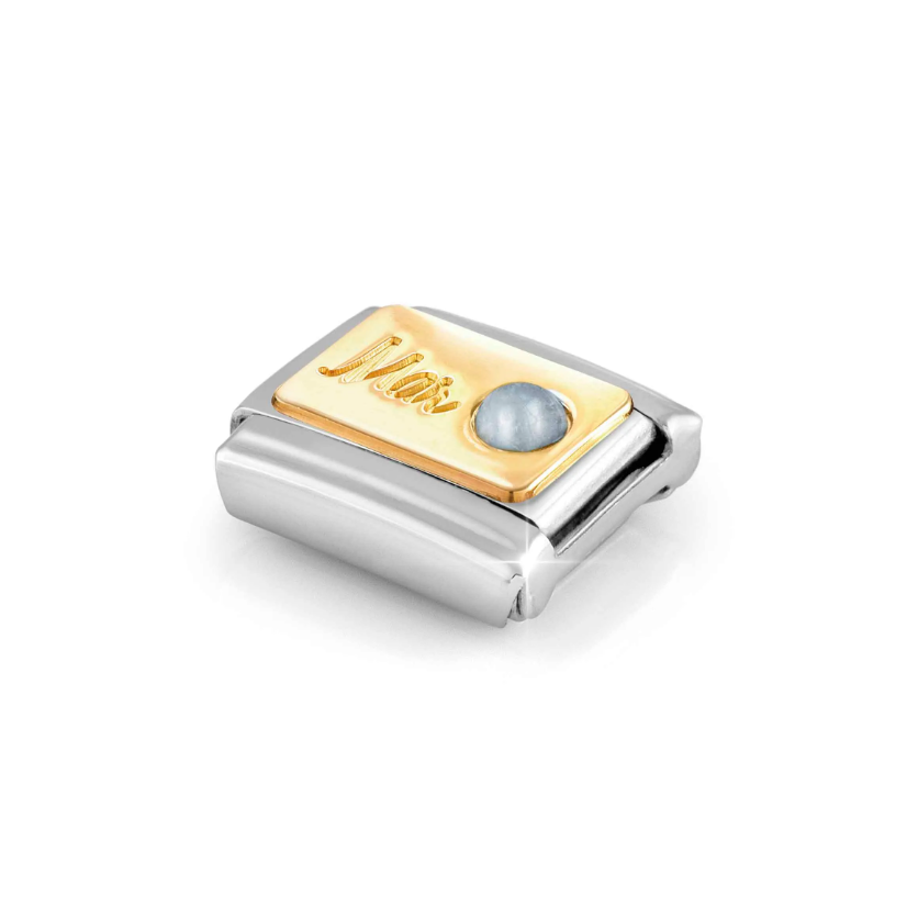 Nomination March Aquamarine 18ct Gold and Stainless Steel Composable Charm
