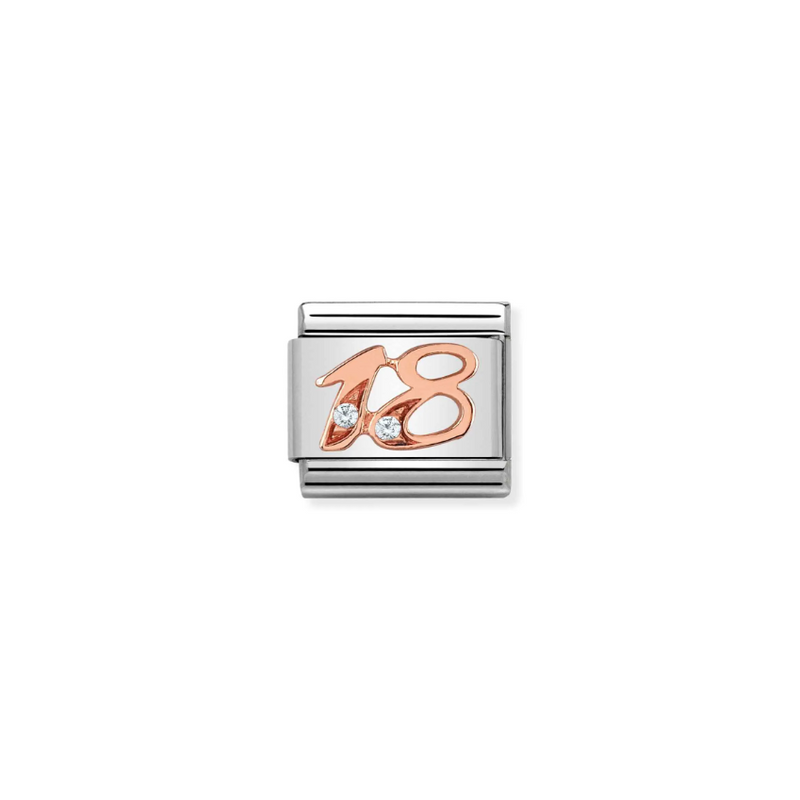 Nomination Number 18 with CZ 9ct Gold and Stainless Steel Composable Charm