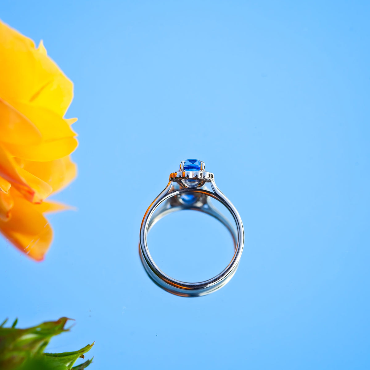 18ct White Gold 1.09ct Sapphire and Diamond Halo Ring