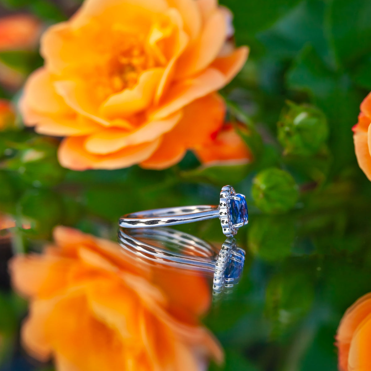 18ct White Gold 1.09ct Sapphire and Diamond Halo Ring