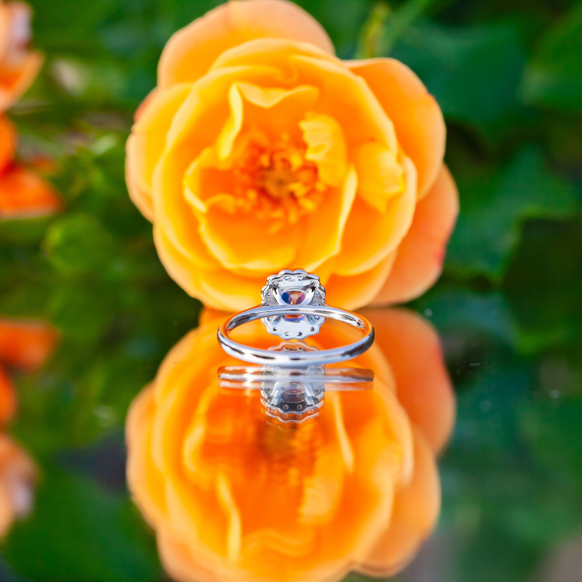 18ct White Gold 1.09ct Sapphire and Diamond Halo Ring