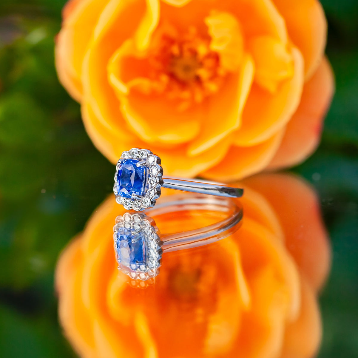 18ct White Gold 1.09ct Sapphire and Diamond Halo Ring