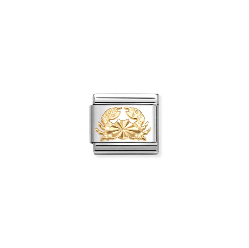 Nomination New Cancer 18ct Gold and Stainless Steel Composable Charm